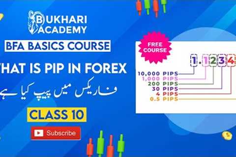 What is Pip in Forex | Class 10 | Free Basics Course | Bukhari Forex Academy