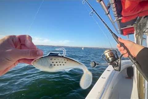 Nonstop Fall Run Striped Bass Fishing in the Raritan Bay! (we lost count)