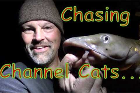 Channel Catfish Fishing Lake Shasta Style!