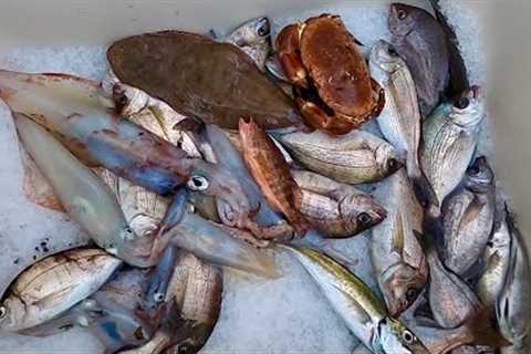 Gill Netting - Big Flatfish Catch Clean Cook  , Squid - Crabs &amp; Great Boat Fishing