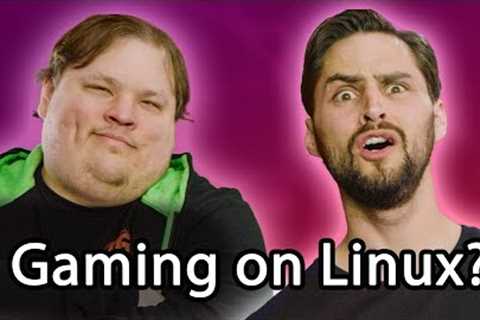 Microsoft Should be VERY Afraid - Noob's Guide to Linux Gaming