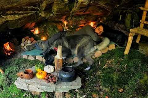 7 Days Solo Survival Camping In Rain Forest, Building Warm Bushcraft Cave Shelter with Fireplace
