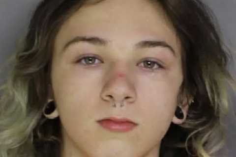 Teen Arrested After Allegedly Stating He 'Just Killed Someone,' Showing Off Dead Body In Instagram..