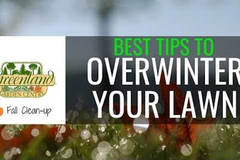 EXPERT Tips for Fall Lawn Care | Complete Grass Guide