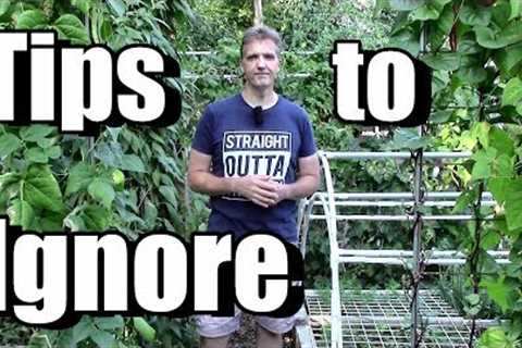 Popular Gardening Tips You Can Probably Ignore (Companion Planting, Molasses, Watering in Sun)