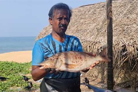 Fish Cutting Kasimedu Gait Fishing Cutting Skill Video By Fisherman | Fish Cutting Skill Nicely
