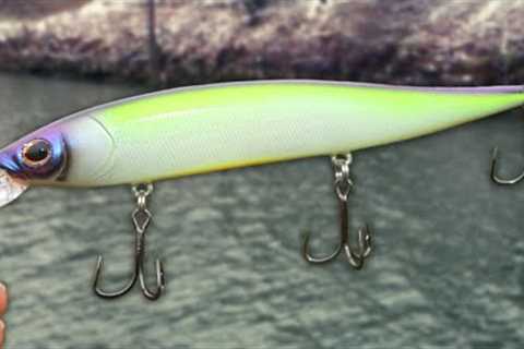 3 Ways To Catch GIANT Bass In The WINTER