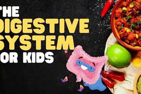The Digestive System for Kids | A fun engaging overview of what happens when we eat!