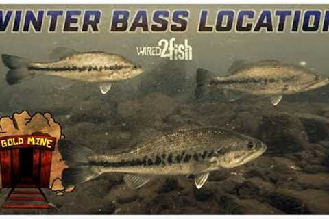 Where Bass Go in the Winter and When to Fish Them
