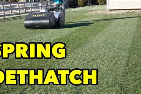 Spring Dethatching Lawn Care YES or NO?