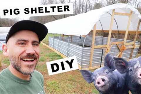 How to BUILD a PIG SHELTER (Small Scale) + COST