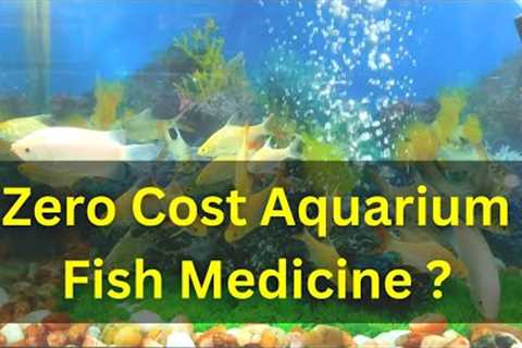Zero Cost Aquarium Fish Medicine - The Simple, Effective Method You've been Waiting For !