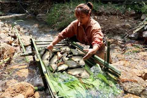 Top Videos Building Natural Fish Traps Under Streams Catching Many Fish, Survival Skills in The Wild