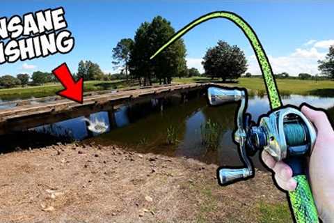1v1 Random Lures ONLY Bass Fishing Tournament (INSANE)