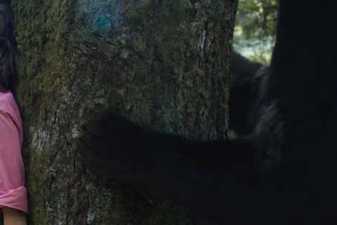 'Cocaine Bear' Goes On Murder Spree In Wild Trailer for Movie 'Inspired' by Real Events