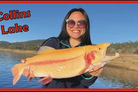 Struck by LIGHTNING TROUT at Collins Lake #Fishing #LightningTrout #GirlsFishing