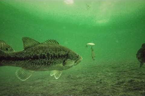 How to Ice Fish Bass With Crankbaits