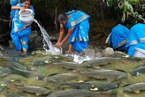 Amazing! Find and Catch Big fish under stone | Unbelievable Fishing | Village Super Cooking