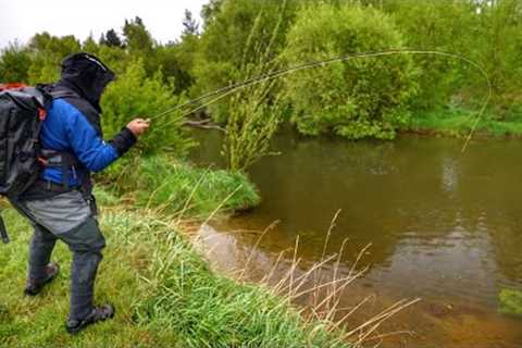 Epic Dry Fly Fishing Saves us From Being Skunked On a Rainy Day.