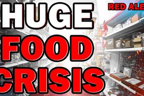 🚨PREP NOW🚨WHY GROCERIES WILL BE SO EXPENSIVE IN 2023 | SHTF 2022 PREPPER/PREPPING SURVIVAL NEWS..