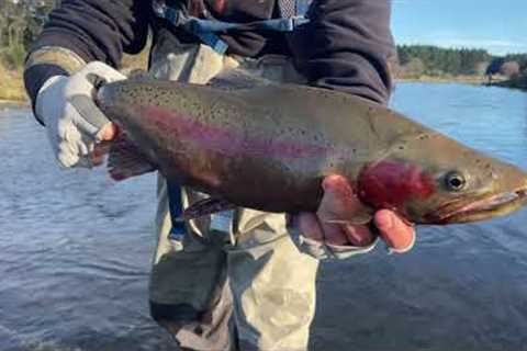 Fly Fishing Taupo's Finest Rivers // June 2022