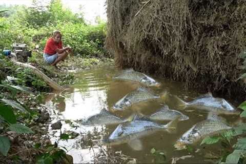 Fishing Exciting - The girl used the pump to suck all the water in the lake, Catch a lot fish