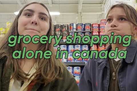 grocery shopping alone in canada- vlog