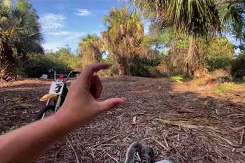What It Takes To Build A House In Florida?