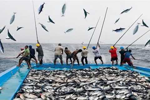Amazing Fast Classic Tuna fishing Skill, Caught Hundreds Tons of Tuna on The Boat