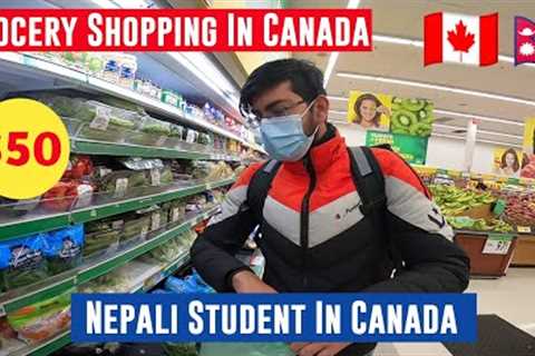 $50 Grocery Shopping In Canada For International Students | Food Basics - Nepali Student In Canada