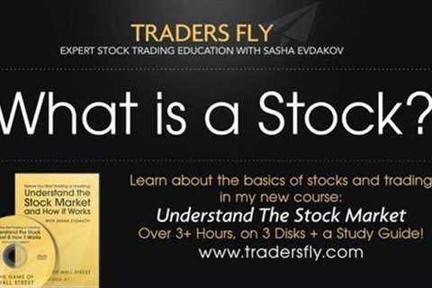 What is a Stock: Beginners Guide to Investing
