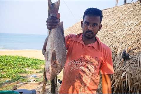 You Never Seen!!! Giant Carp Fish Cutting Live In Fish Market | Fish Cutting Skills By Fishing Skill