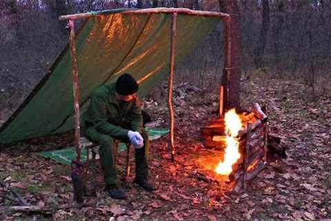 Solo bushcraft camp in the wild forest. Wildlife survival skills. Tarp shelter