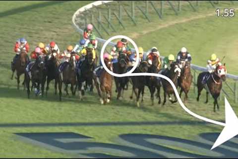 AMAZING Ryan Moore ride wins the Japan Cup with Vela Azul!