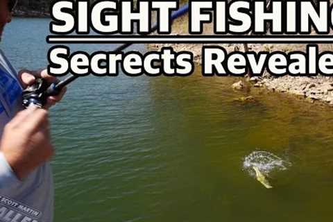 How to sight fish for BIG BASS - Important Tournament Fishing Tips