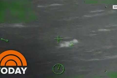Video: Cruise Ship Passenger Saved After Falling Into Gulf Of Mexico