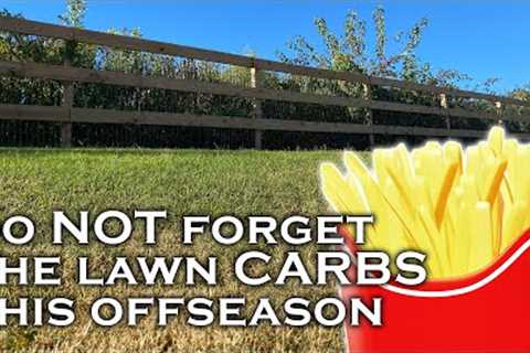 Offseason Lawn Care // What I Do &amp; Don't Do...