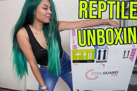 UNBOXING MY DREAM PETS! *just like old times* lol