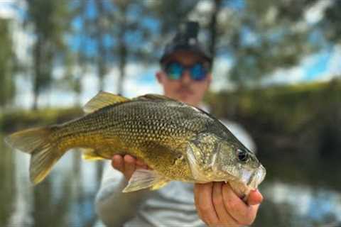 Hunter Valley BASS Fishing | Finding New Ground in Untouched Waters