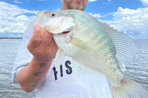 CRAPPIE Fishing Lake GRENADA‼️ | HOME Of The 3 POUND CRAPPIE‼️