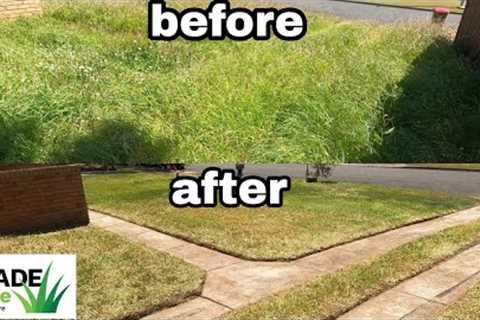2 Veterans give a woman her yard back! Mowing tall grass
