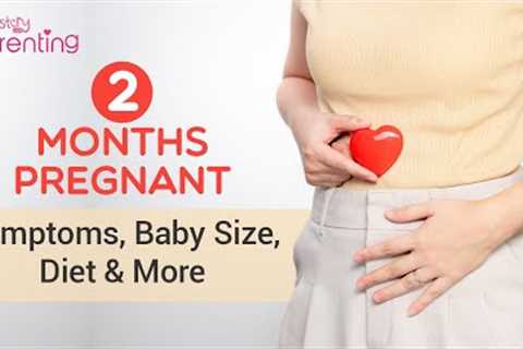 2nd Month of Pregnancy – Symptoms, Baby Development, What to Eat &amp; more