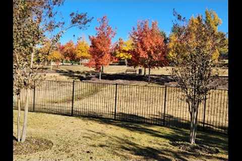 Fall Lawn Care 2022.  Why I don't mulch my leaves.
