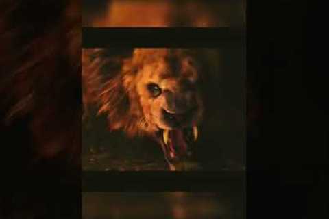 Rock vs Lion Fight #shorts #viral #trending