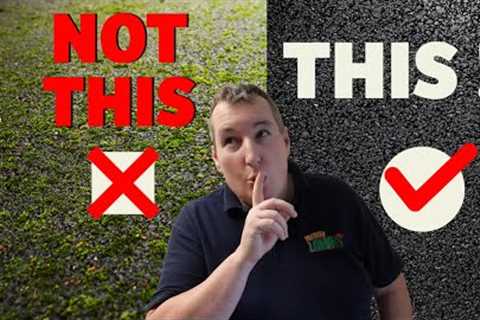 The secret to a moss free tarmac driveway