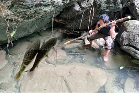 Enjoy the stream from nature, catch fish and cook: Survival Alone