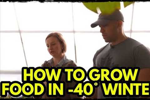 How to Survive Winter | Grow Food in -40° in a Passive Solar Greenhouse