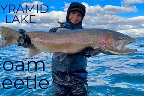 PYRAMID LAKE - Fly Fishing - 16 pound Cutthroat Trout!