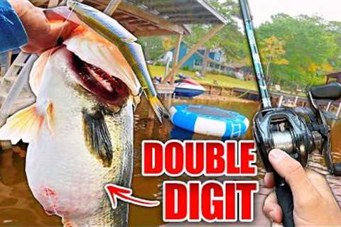 RECORD Day Swimbait Fishing a PUBLIC Lake! (Multiple Double Digit Bass)