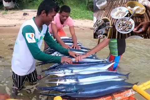 ep47-Catch, Sell And Cook | Kinilaw at Sigang | Catching needle Fish